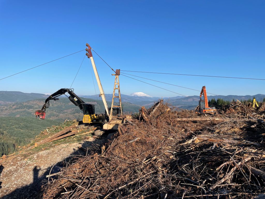 Gifford Pinchot Thin