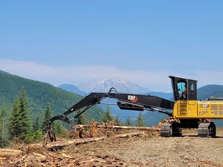 McCannon Timber Sale