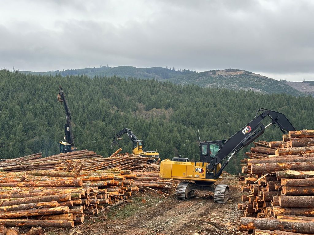 Cedar Creek Thinning